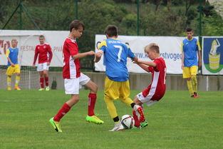 九游娱乐入口-“福乐球决战开启,新都香城体育中心见证精彩” 第2张